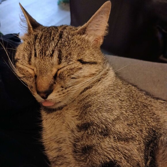 Meet your Posher, Grim - Picture 6 of 6